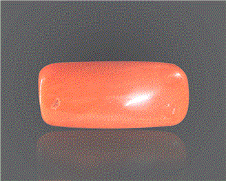 Natural Coral  7.26RTS-27349